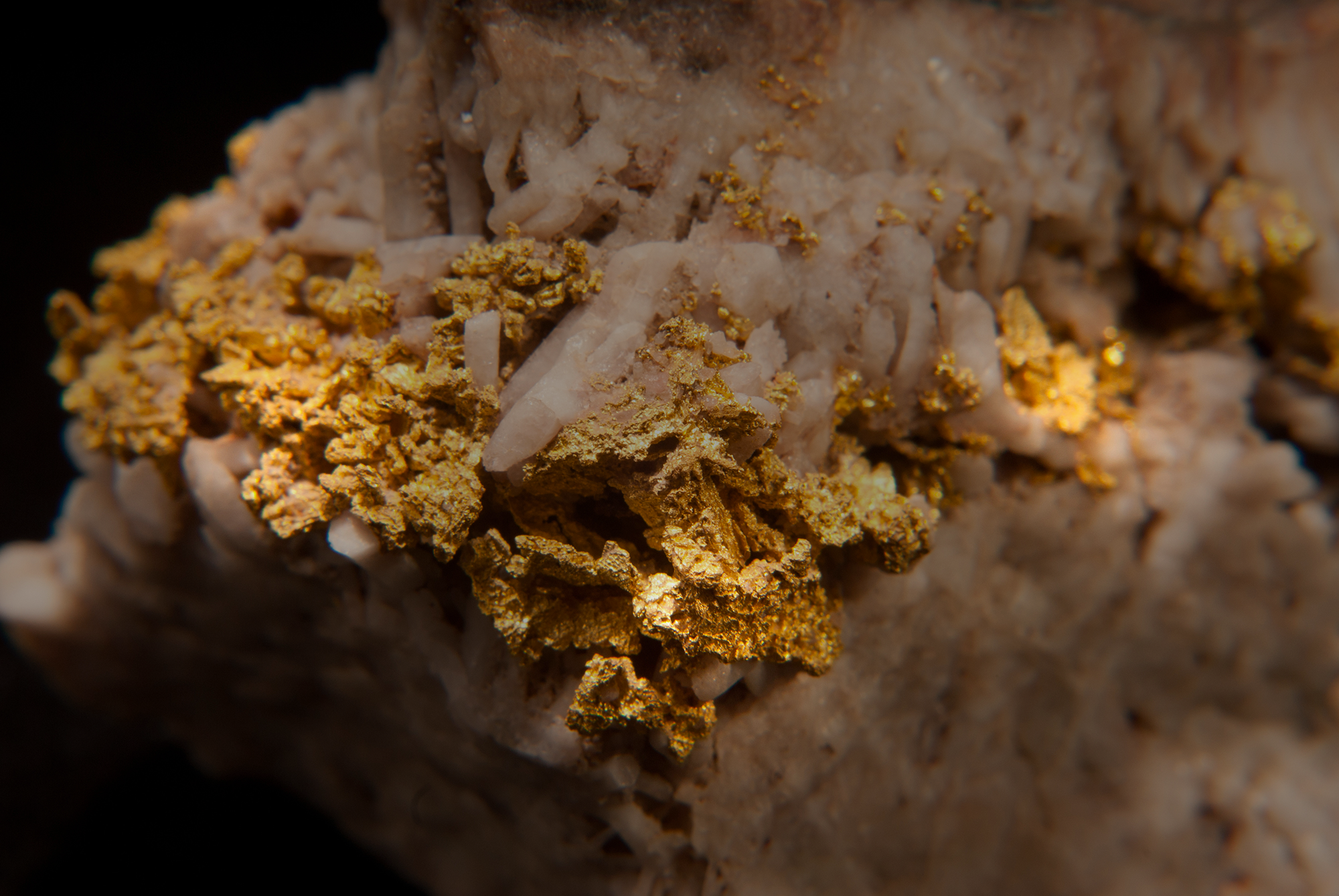 Altın Madenciliği ve Çevre Hukuku